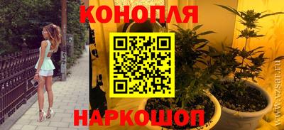 шишки Кингисепп