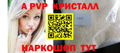 шишки Кингисепп